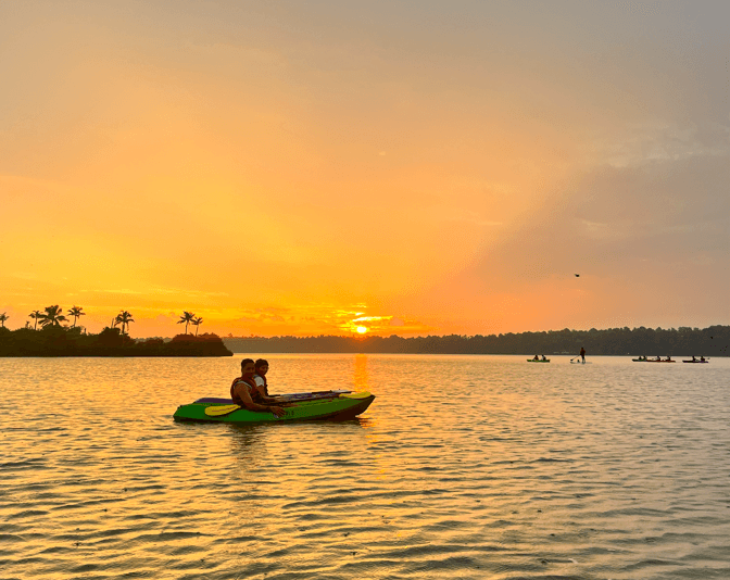 MangroveSpot activity area with mangrove forest backdrop, Paravur Kerala